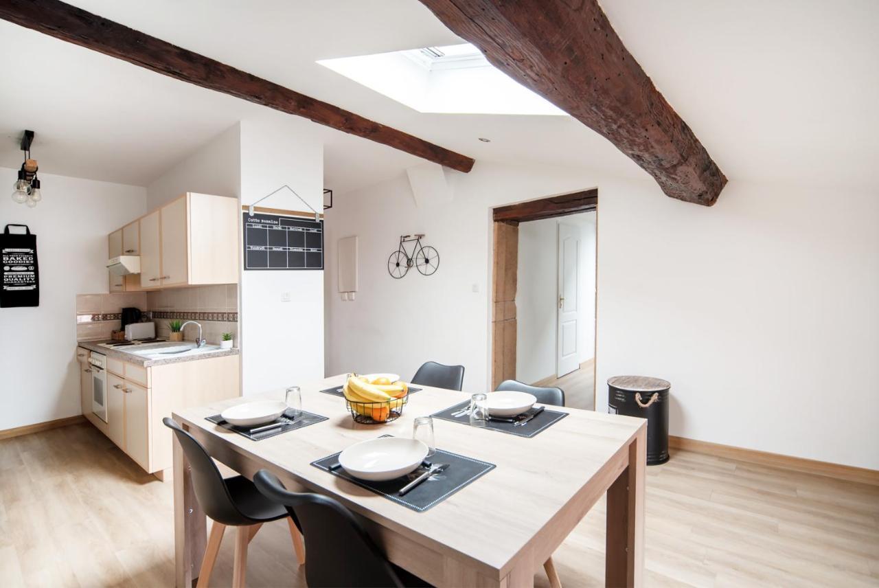 Appartement Cosy Et Moderne En Plein Coeur Du Centre Ville Макон Екстер'єр фото