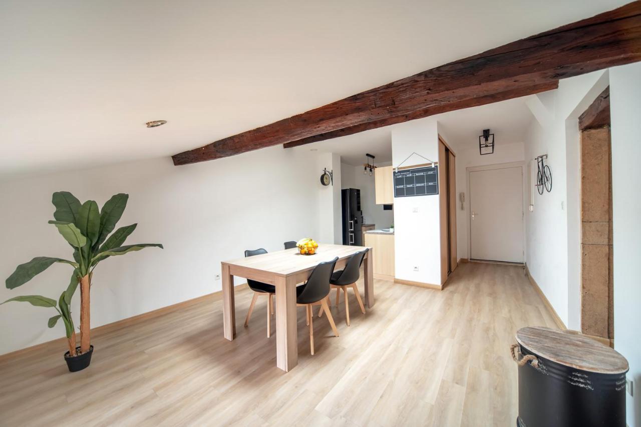 Appartement Cosy Et Moderne En Plein Coeur Du Centre Ville Макон Екстер'єр фото